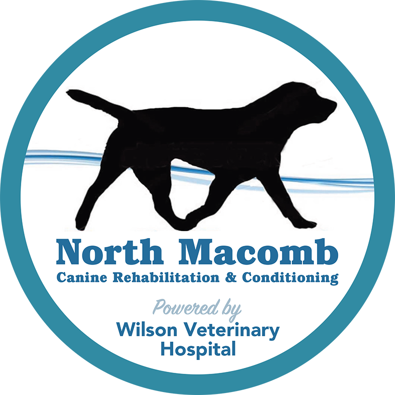 North Macomb Canine Rehabilitation and Conditioning